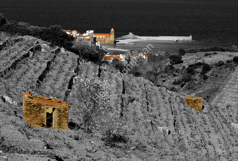 2947_63621_COLLIOURE_A4