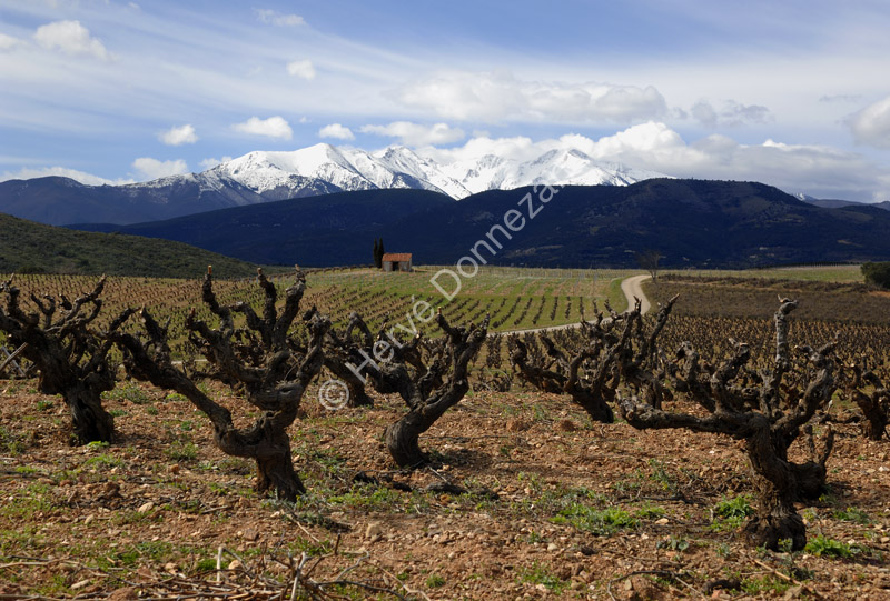 3240_46308_CANIGOU_ASPRES_4