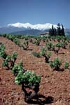 0008_ASPRES CANIGOU