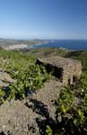 0855_5827 BANYULS VUGN#50AA