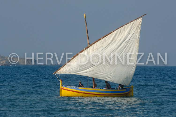 0053093-CATALANE-BANYULS