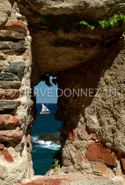 0714_ MEURTRIERE COLLIOURE