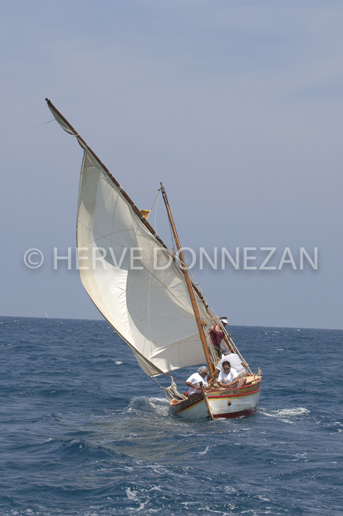 2516_66078_COLLIOURE_CATALANE