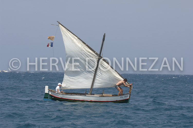 2533_66108_COLLIOURE_CATALANE