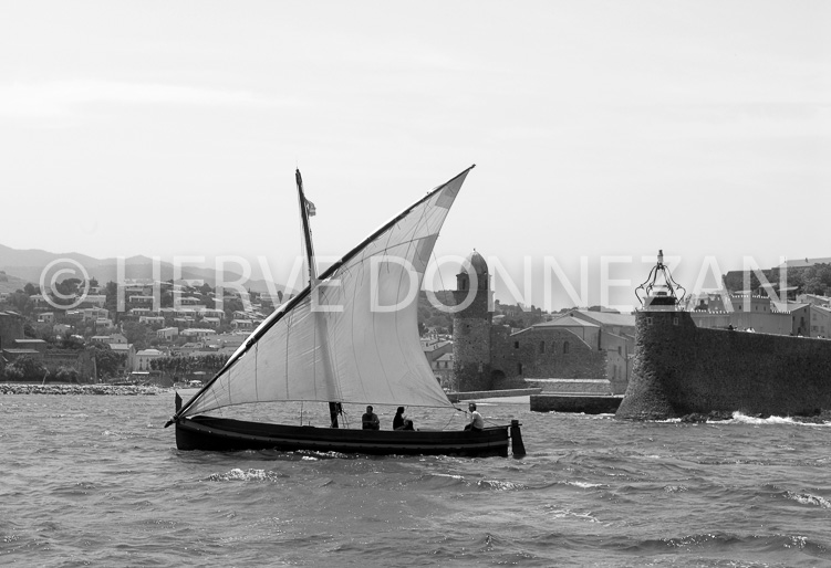 2565_66319_COLLIOURE_CATALANE