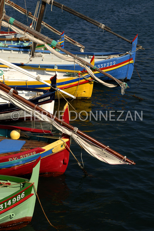 2635_66826_COLLIOURE_CATALANES