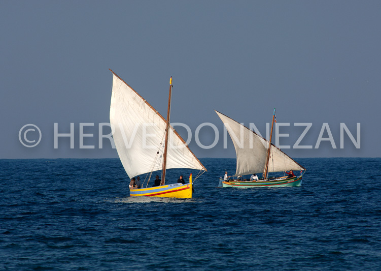 3314_53275_COLLIOURE CATALANES