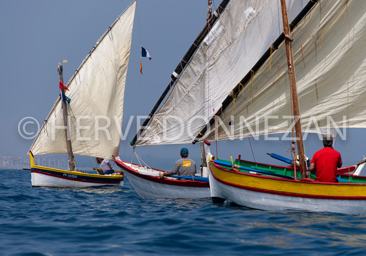 4576_0217_COLLIOURE_CATALANES_