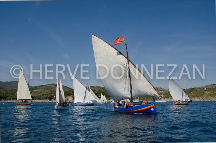 5628-9128_PAULILLES MARINE_CATALANES