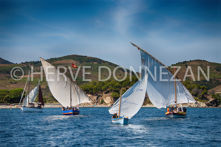 5638_1821_PAULILLES MARINE_CATALANES