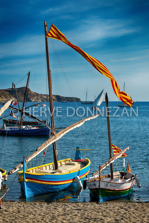 5657_1593_PAULILLES MARINE_CATALANES