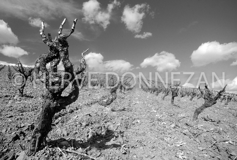 ROUSSILLON CORBIERES