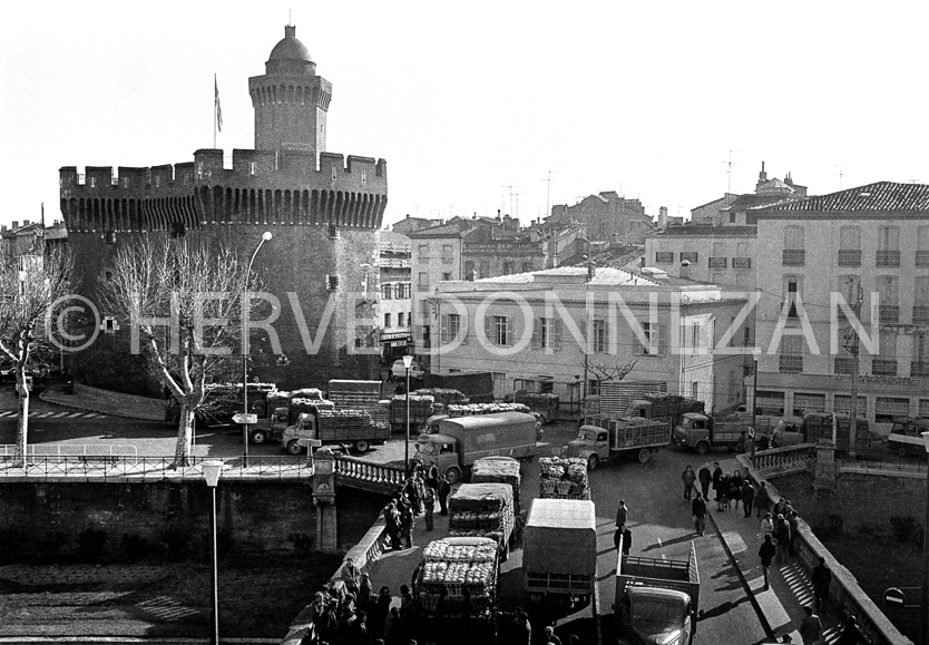 MANIFESTATION AGRICULTEURS PERPIGNAN