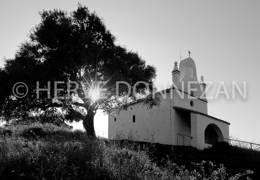 FRANCE PYRENEES ORIENTALES BANYULS SUR MER LA SALETTE