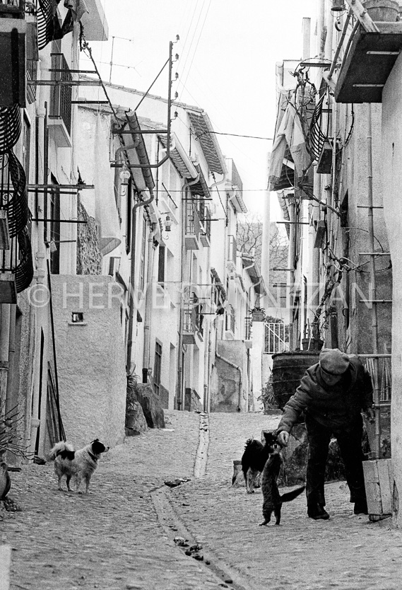 FRANCE PYRENEES ORIENTALES COLLIOURE