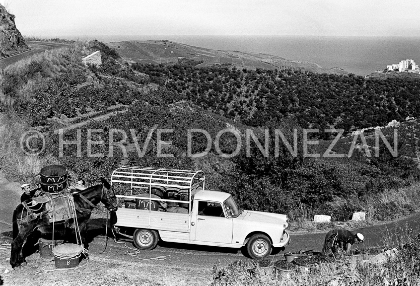 FRANCE ROUSSILLON VIGNOBLES BANYULS