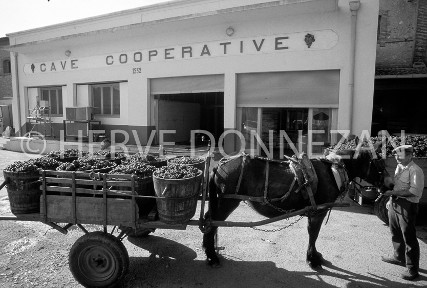 ROUSSILLON CORBIERES RIVESALTES