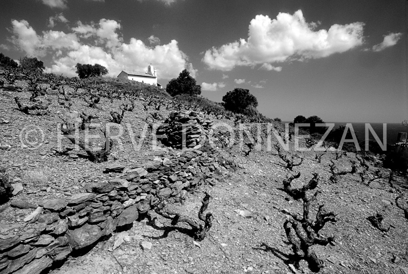 FRANCE PYRENEES ORIENTALES BANYULS SUR MER LA SALETTE