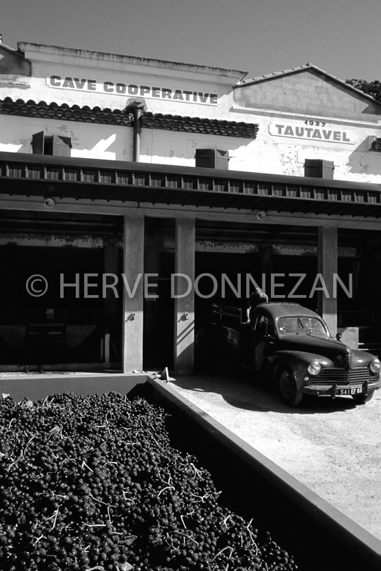 FRANCE PYRENEES ORIENTALES CORBIERES PEZILLA