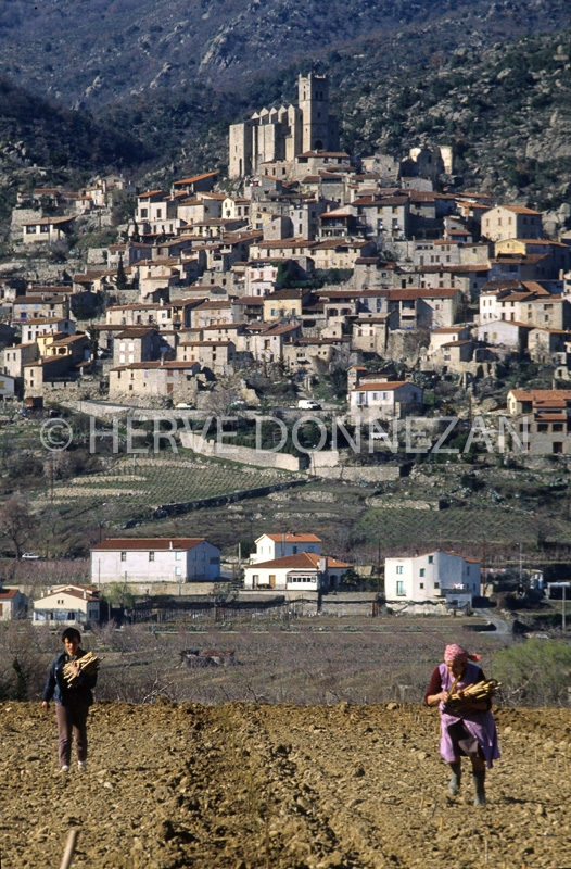 0035744 EUS CONFLENT