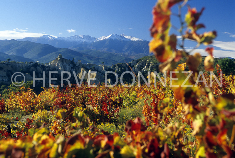 0060127 ILLE TET CANIGOU