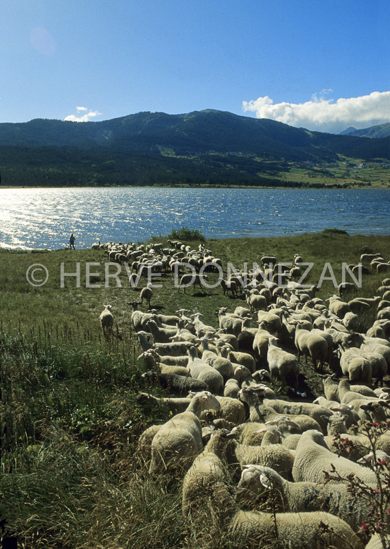 0061930 LAC MATEMALE