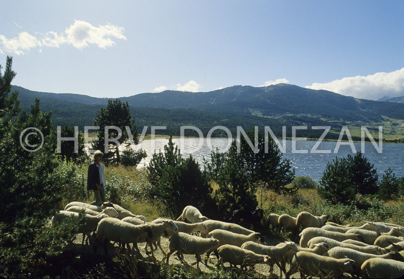 0068890 LAC MATEMALE