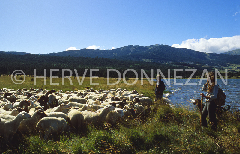 0130686 LAC MATEMALE