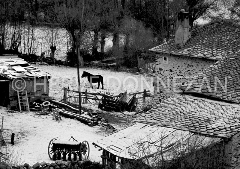 0169 CERDAGNE_N