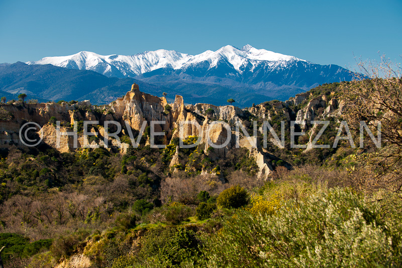 4758_1453_CANIGOU_ORGUES ILLE