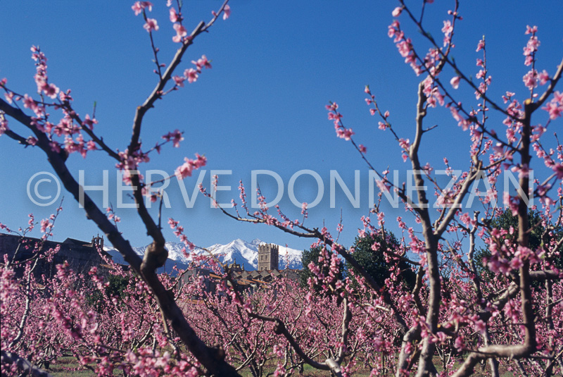 5517_132452_PECHERS_CANIGOU
