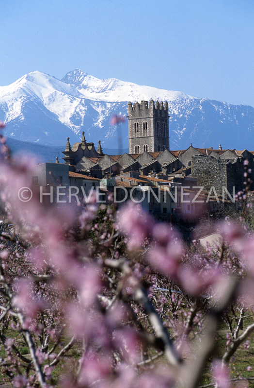 6517-0044897-ILLE-PECHERS-CANIGOU