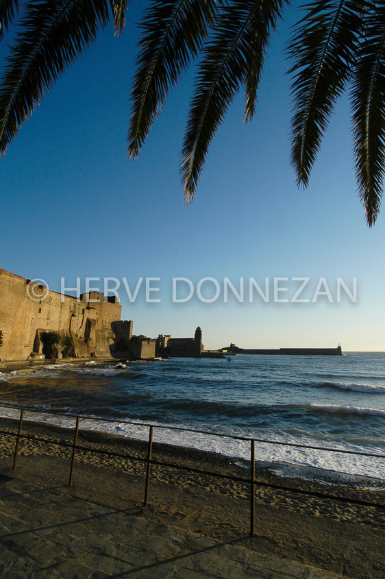 0514 COLLIOURE FAUBOURG