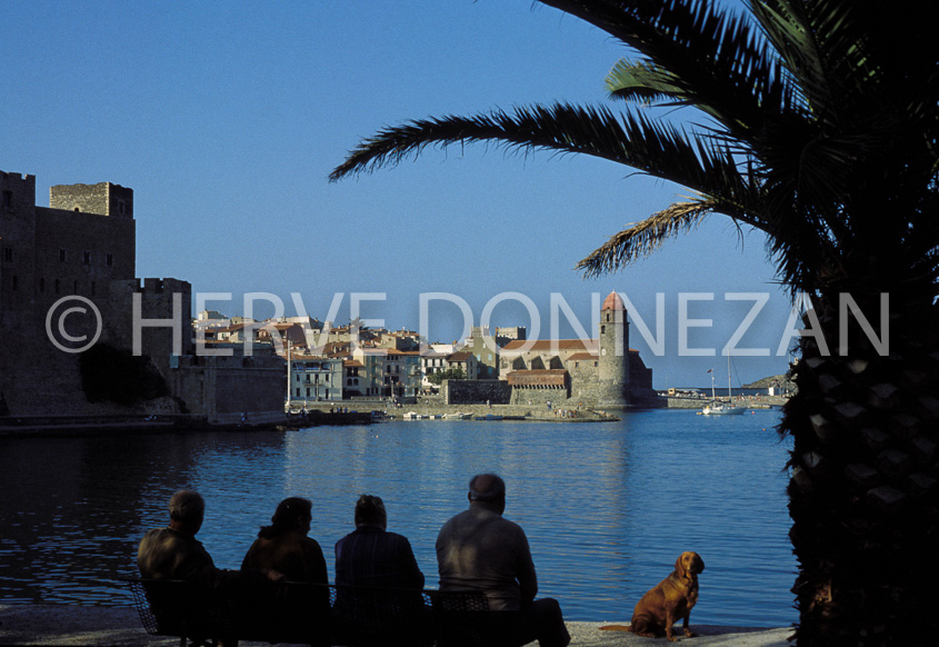 0672_21772 COLLIOURE BANC 