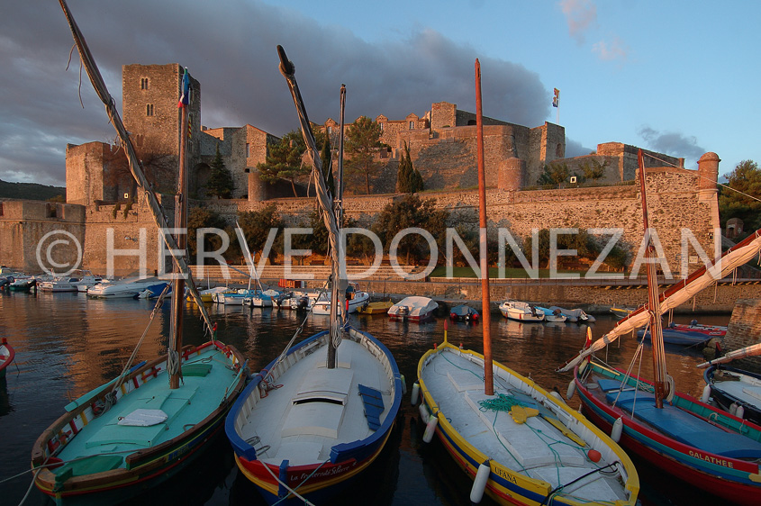 0814_3620_COLLIOURE_PALAIS ROYAL 