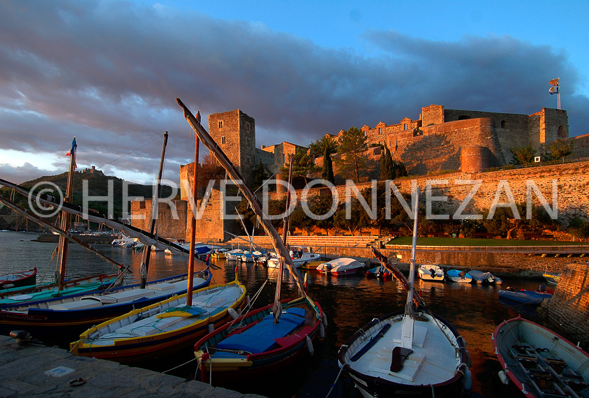 0871_COLLIOURE 