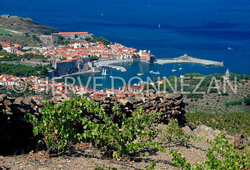 0895_33389 collioure cep 