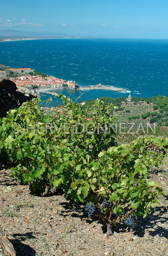 0925_3569 COLLIOURE A