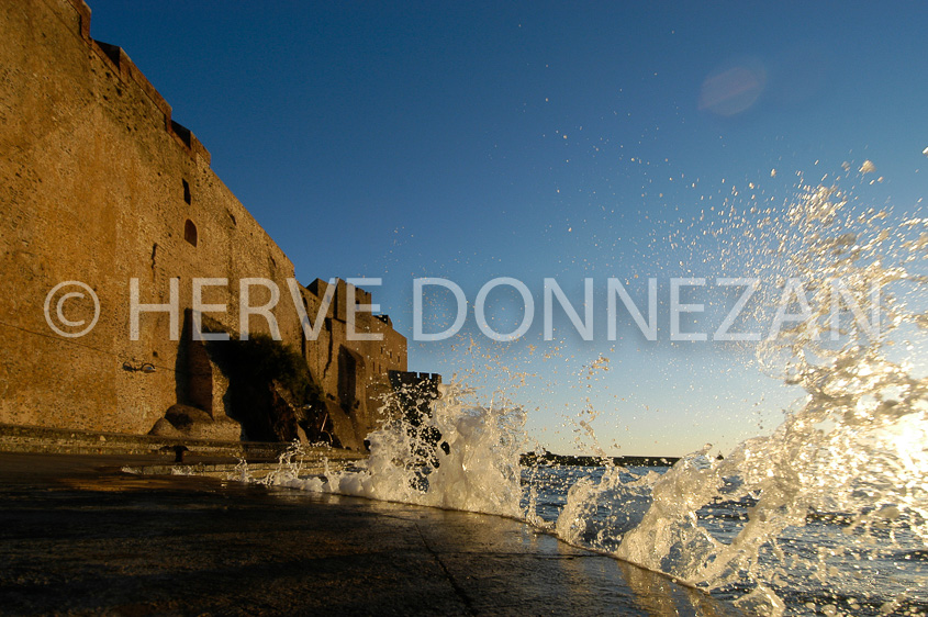 1516_26343_COLLIOURE_