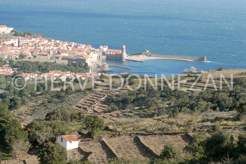 1755_46192_COLLIOURE_