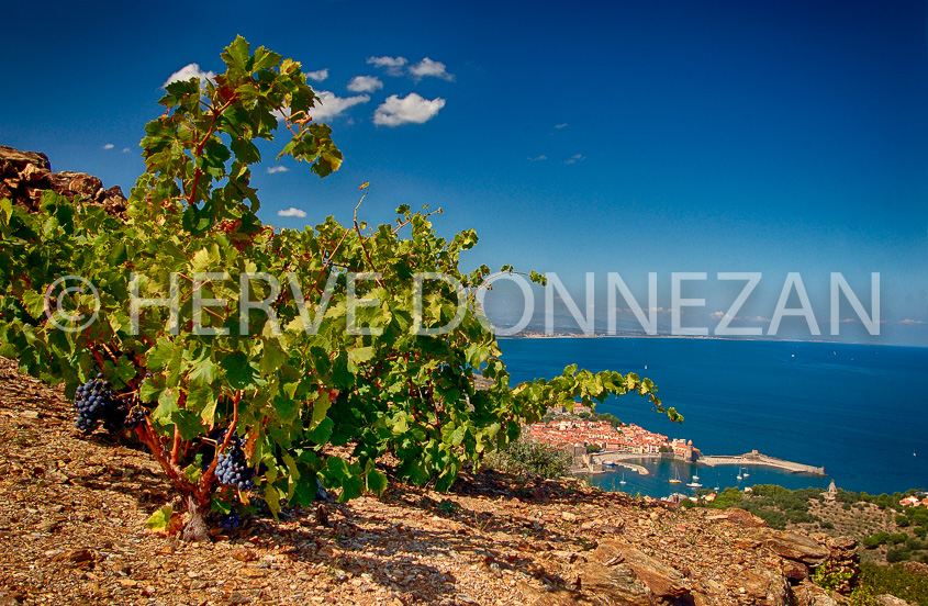 2406_33353_COLLIOURE_CEP_HDR