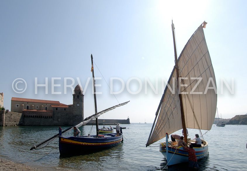 2497_66041_COLLIOURE_CATALANE_