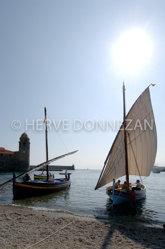 2498_66042_COLLIOURE_CATALANE_