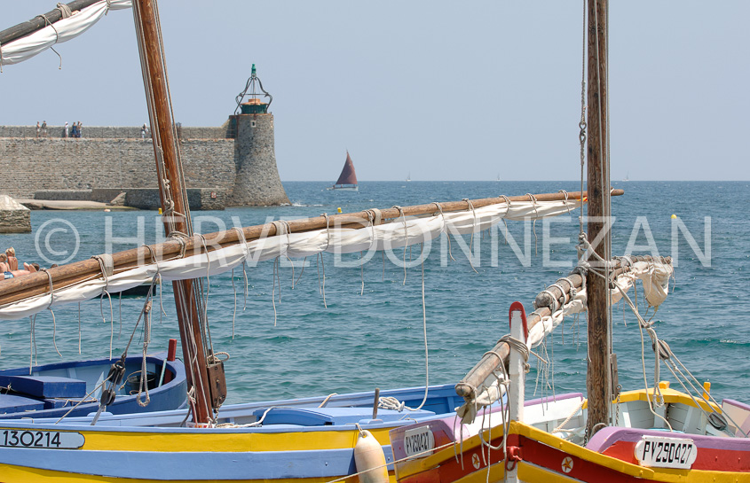 2510_66063_COLLIOURE_CATALANE_