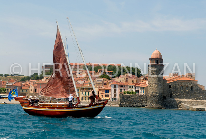 2556_66254_COLLIOURE_CATALANEA