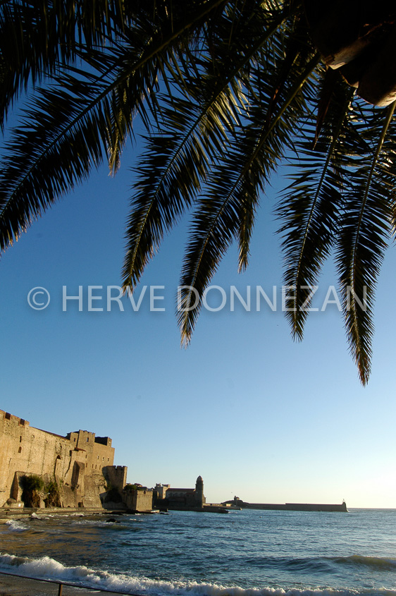 2651_26315_COLLIOURE_SUNRISE