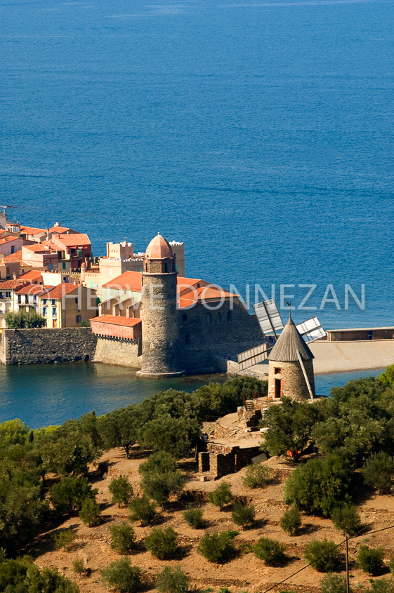 2726_68411_COLLIOURE_MOULIN