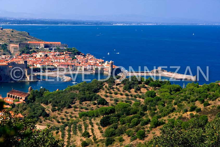 2778_COLLIOURE_BAIE_