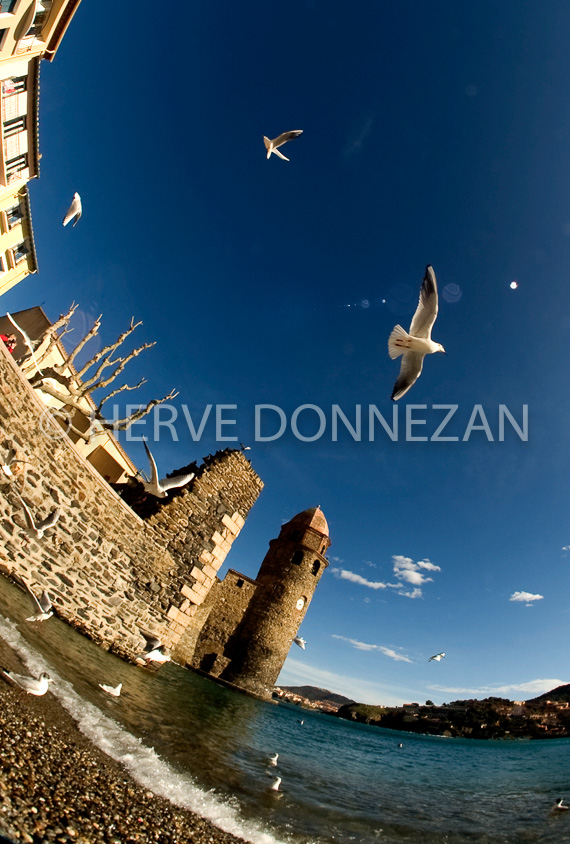2959_0921_COLLIOURE
