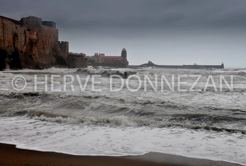 3364_2888_COLLIOURE_TEMPETE